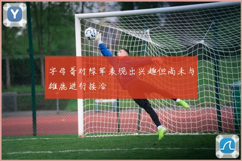 字母哥对绿军表现出兴趣但尚未与雄鹿进行接洽