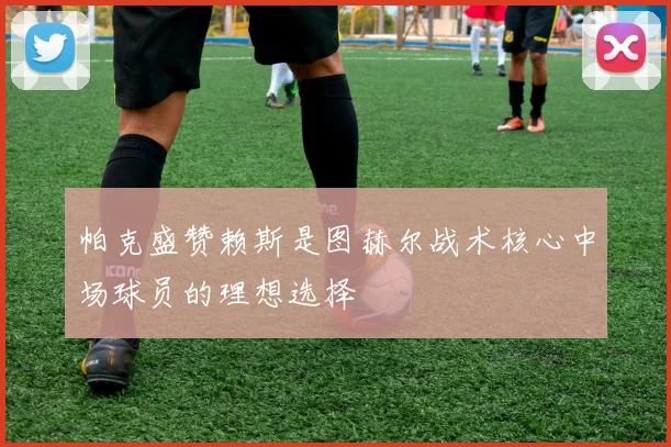 帕克盛赞赖斯是图赫尔战术核心中场球员的理想选择