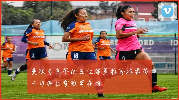 曼联可免签的五位球员推荐格雷茨卡与弗拉霍维奇在内