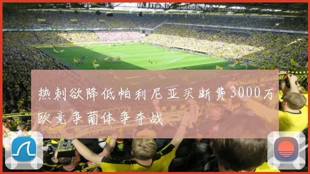 热刺欲降低帕利尼亚买断费3000万欧竞争葡体争夺战